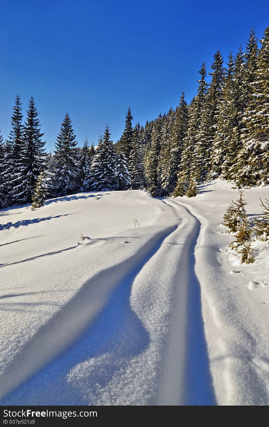 Road to wood on a winter hillside