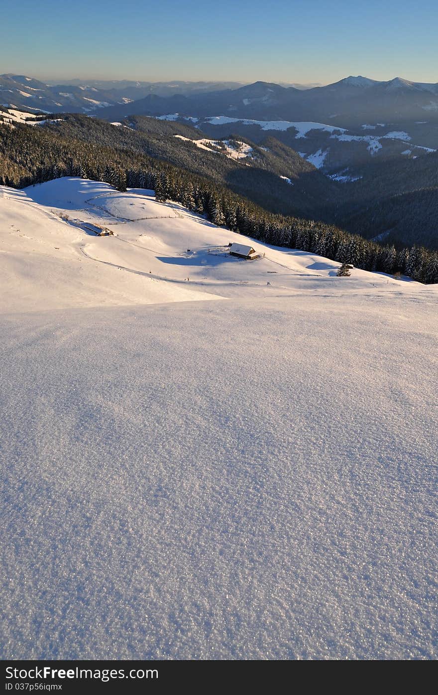 Winter on a hillside.