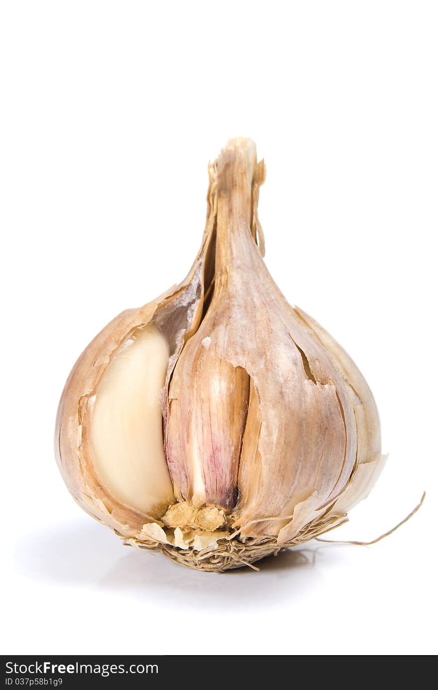 The garlic