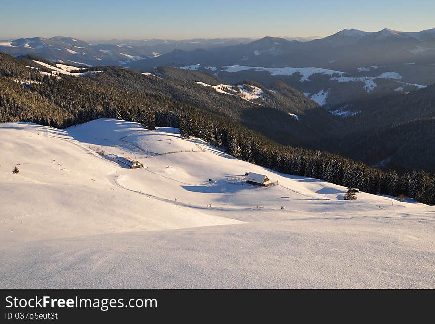 Winter on a hillside.