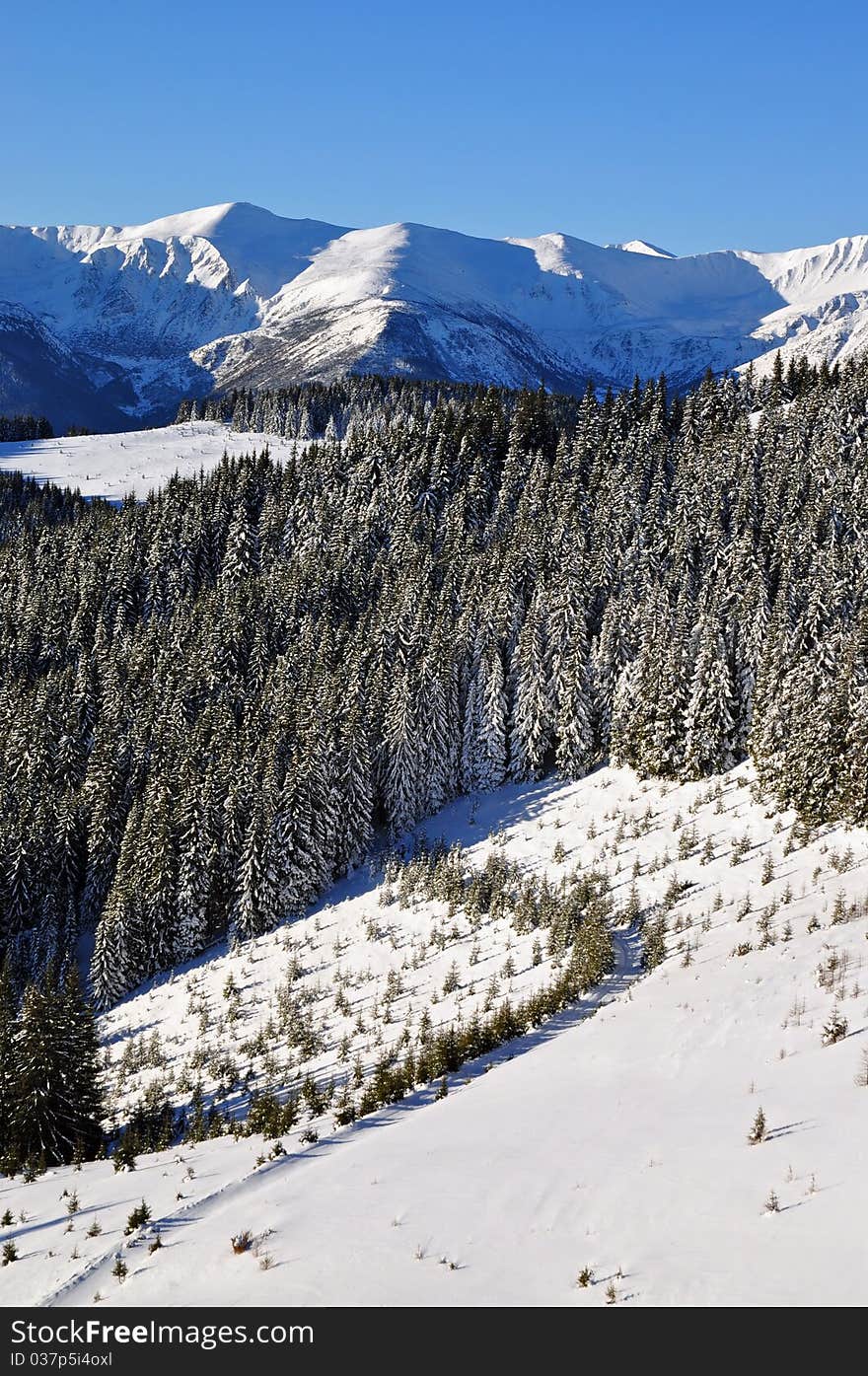 Winter On A Hillside.