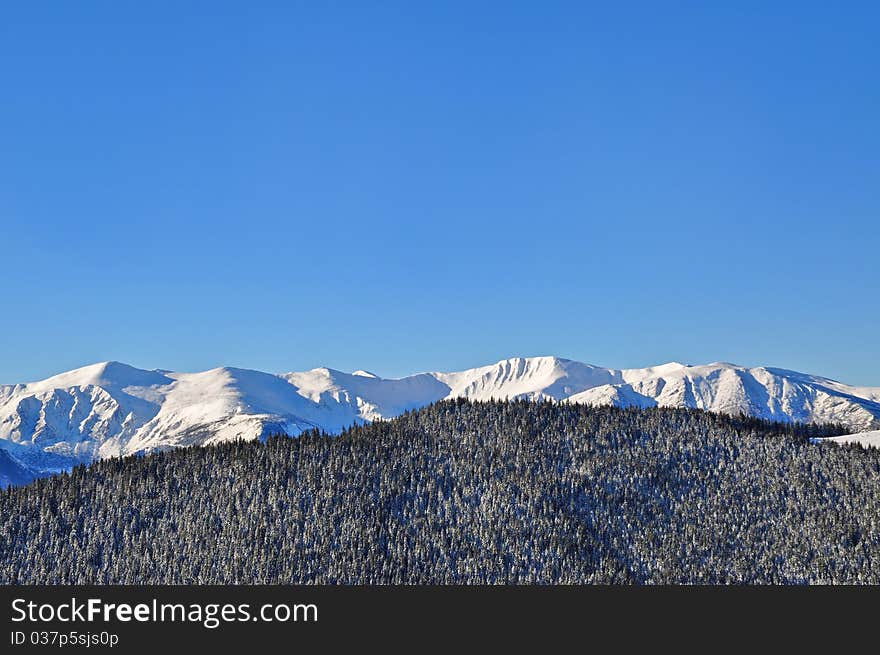 Winter on a hillside.