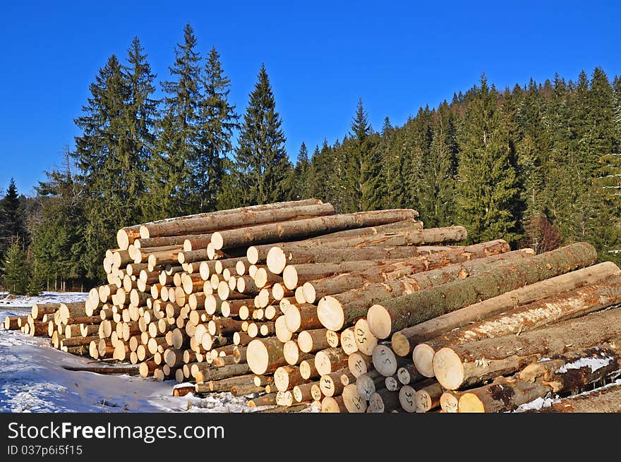 Wood preparation