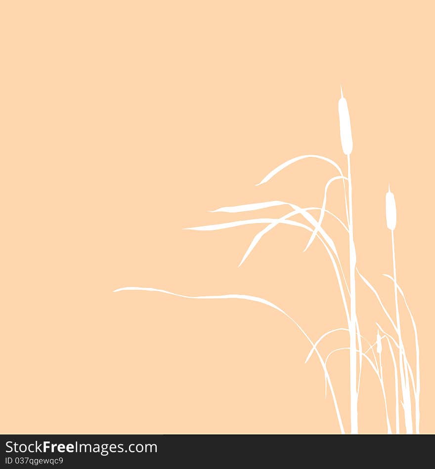 Vector Silhouette Of The Reed