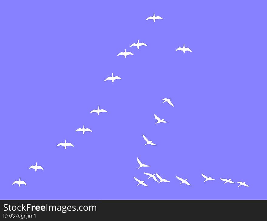 Silhouettes flock geese isolated on blue background