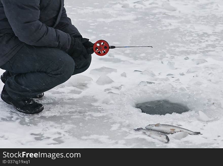 Fisherman nea the hole with two trout