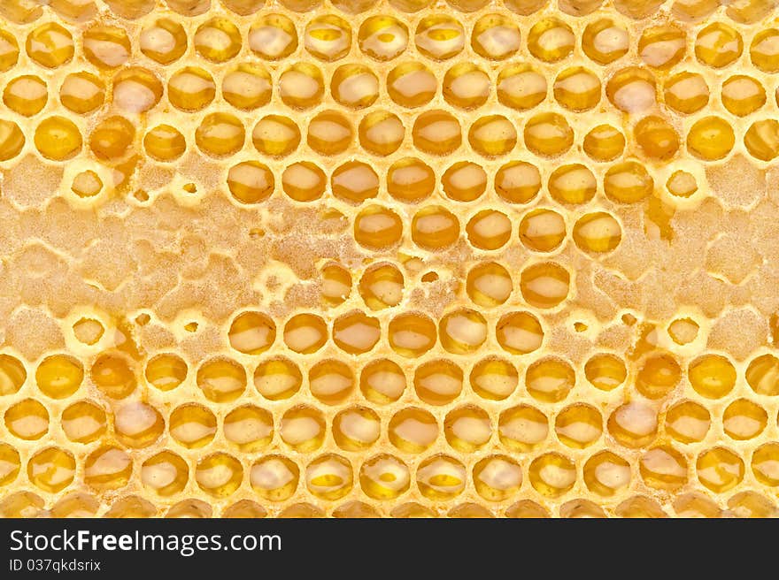 Fresh honeycom texture close up. Fresh honeycom texture close up