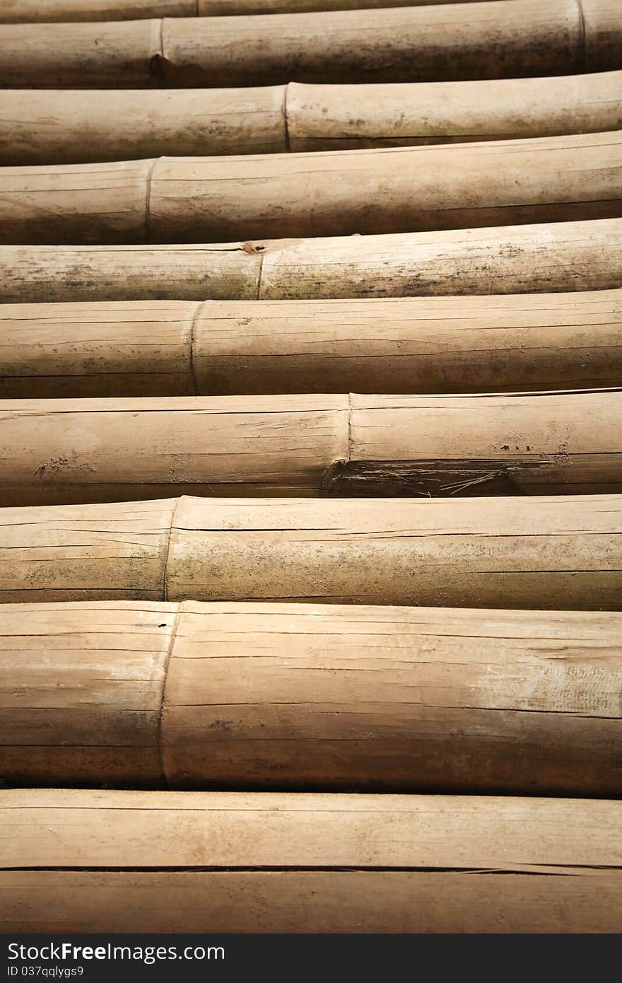 Many of bamboo logs texture. Many of bamboo logs texture.