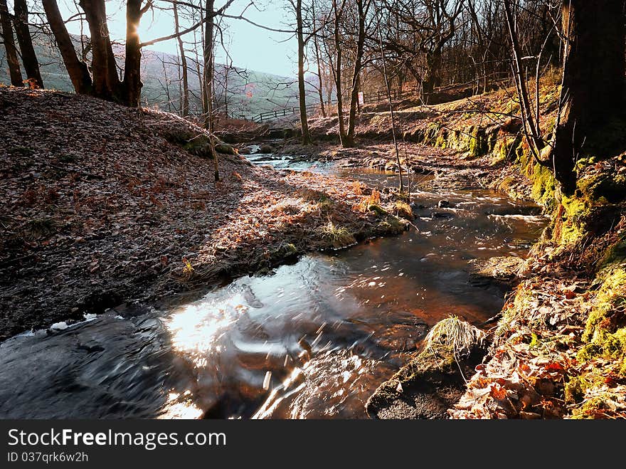 Early Morning on a Winter Stream