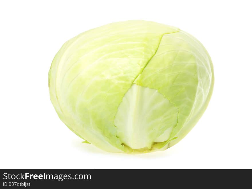 Green Cabbage