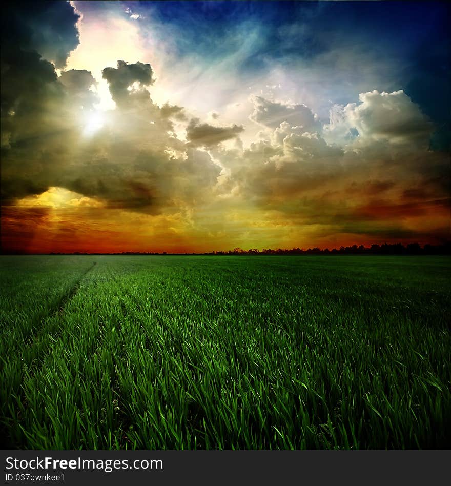 Green wheat field and storm clouds. Green wheat field and storm clouds