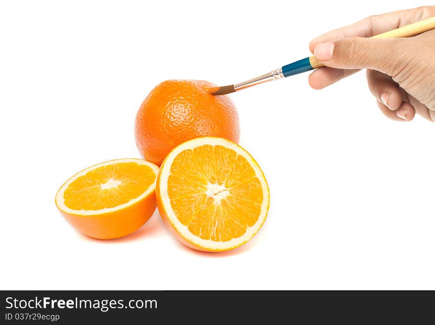 Drawing orange on a white background. Drawing orange on a white background.