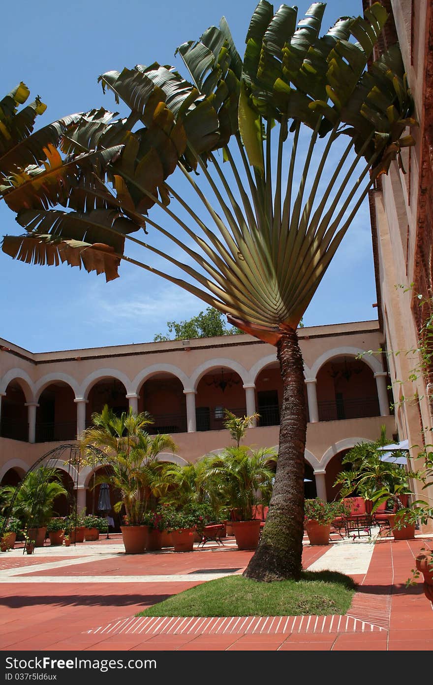 Luxury hotel garden at tropical resort