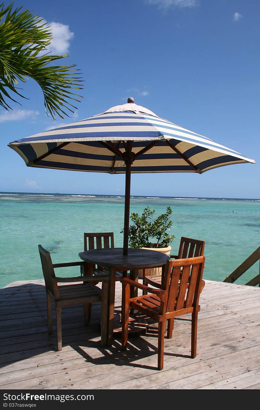 Caribbean beach table under a palm tree