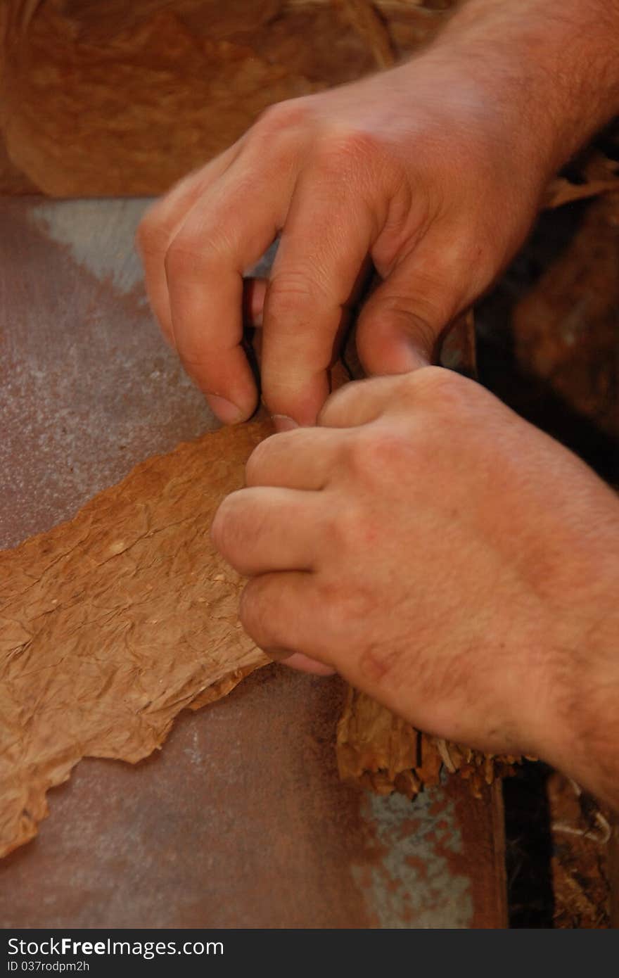 Cigar Making