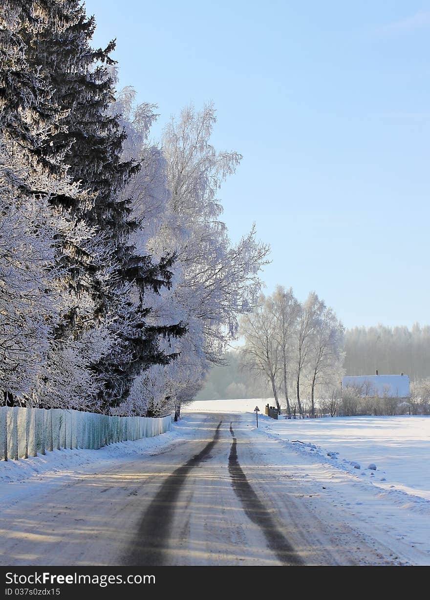 A Winter Road