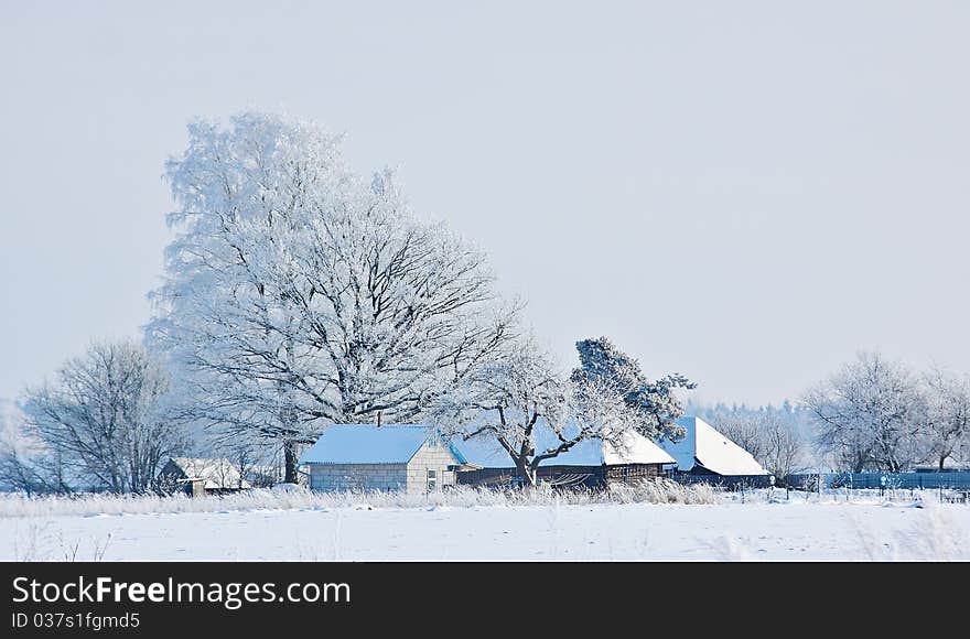 Winter landscape