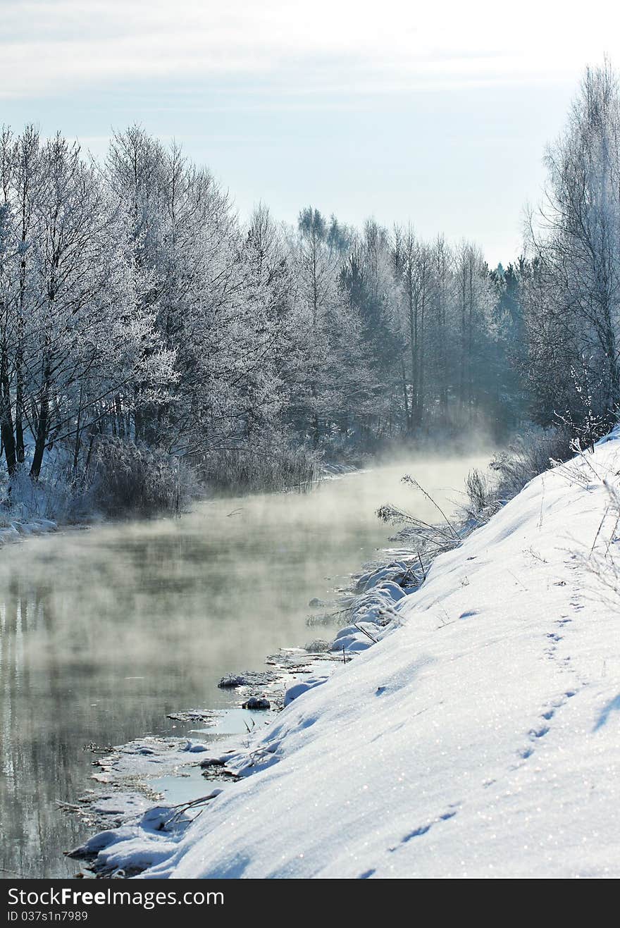 Winter landscape