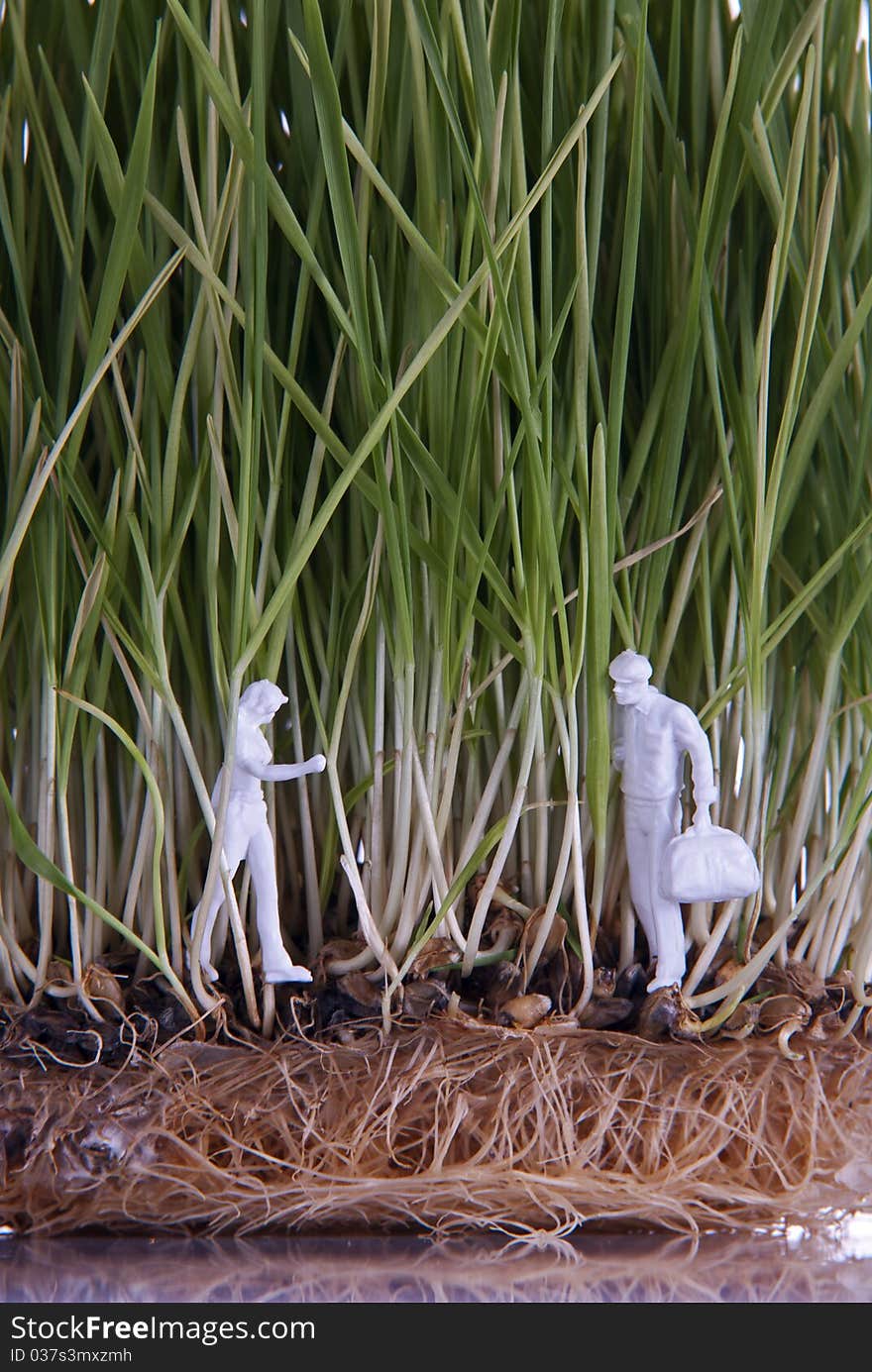 Two human figures in wheat sprouts with roots