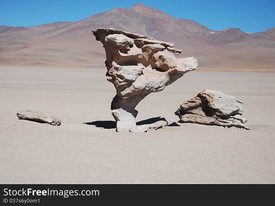 Tree of Stone, in the Bolivian desert. Tree of Stone, in the Bolivian desert