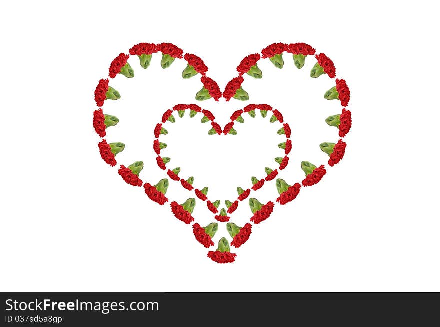 Red Carnation Heart, romantic and valentine. Red Carnation Heart, romantic and valentine