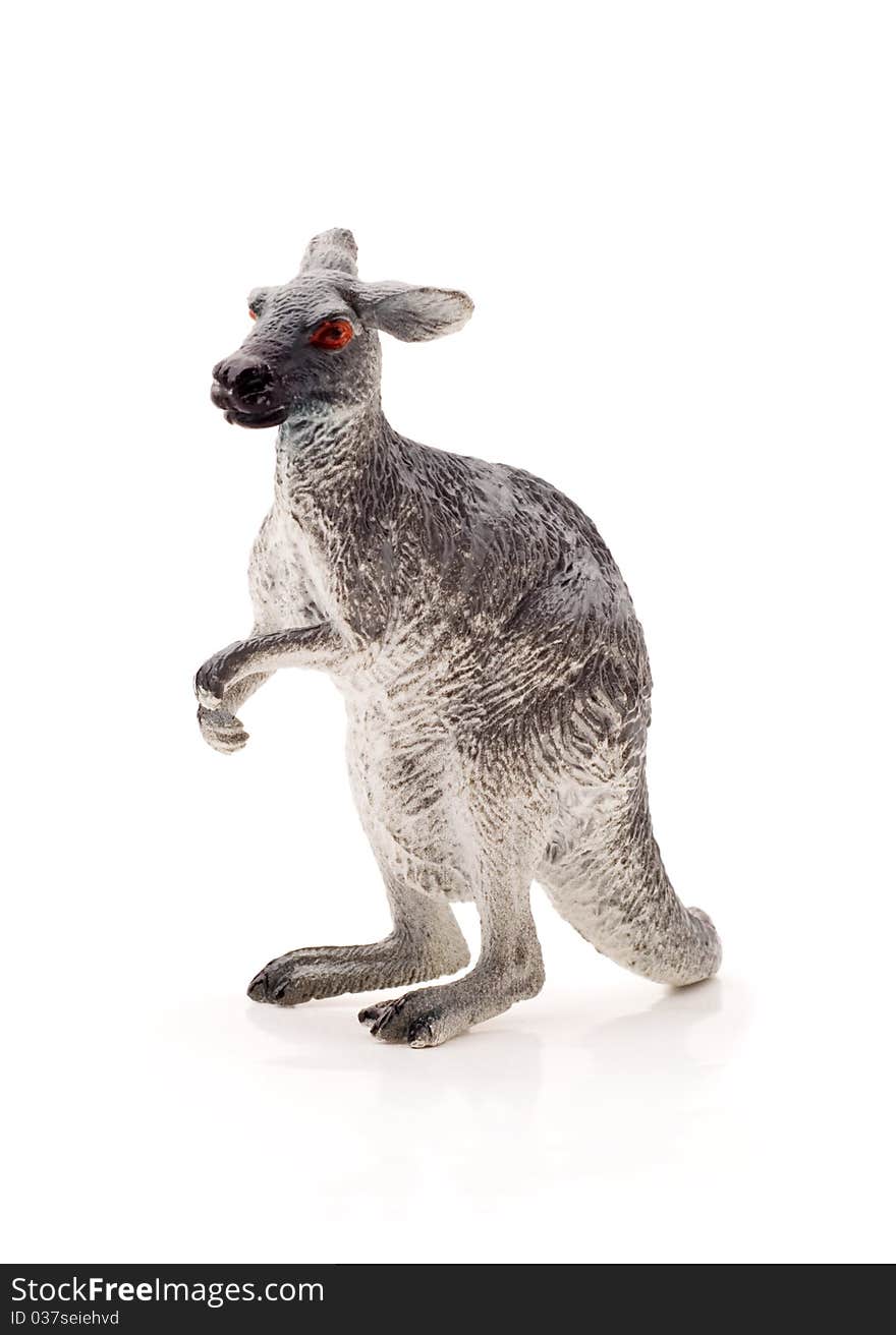 Toy Kangaroo, Isolated