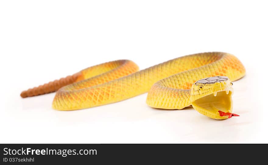 Toy snake on a white background