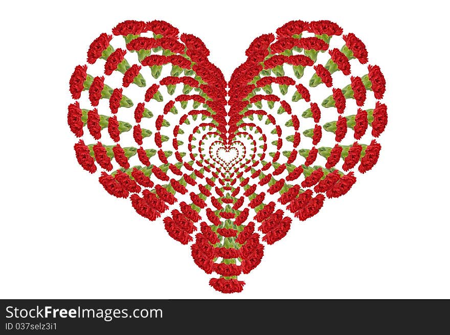 Red Carnation Heart, romantic and valentine. Red Carnation Heart, romantic and valentine