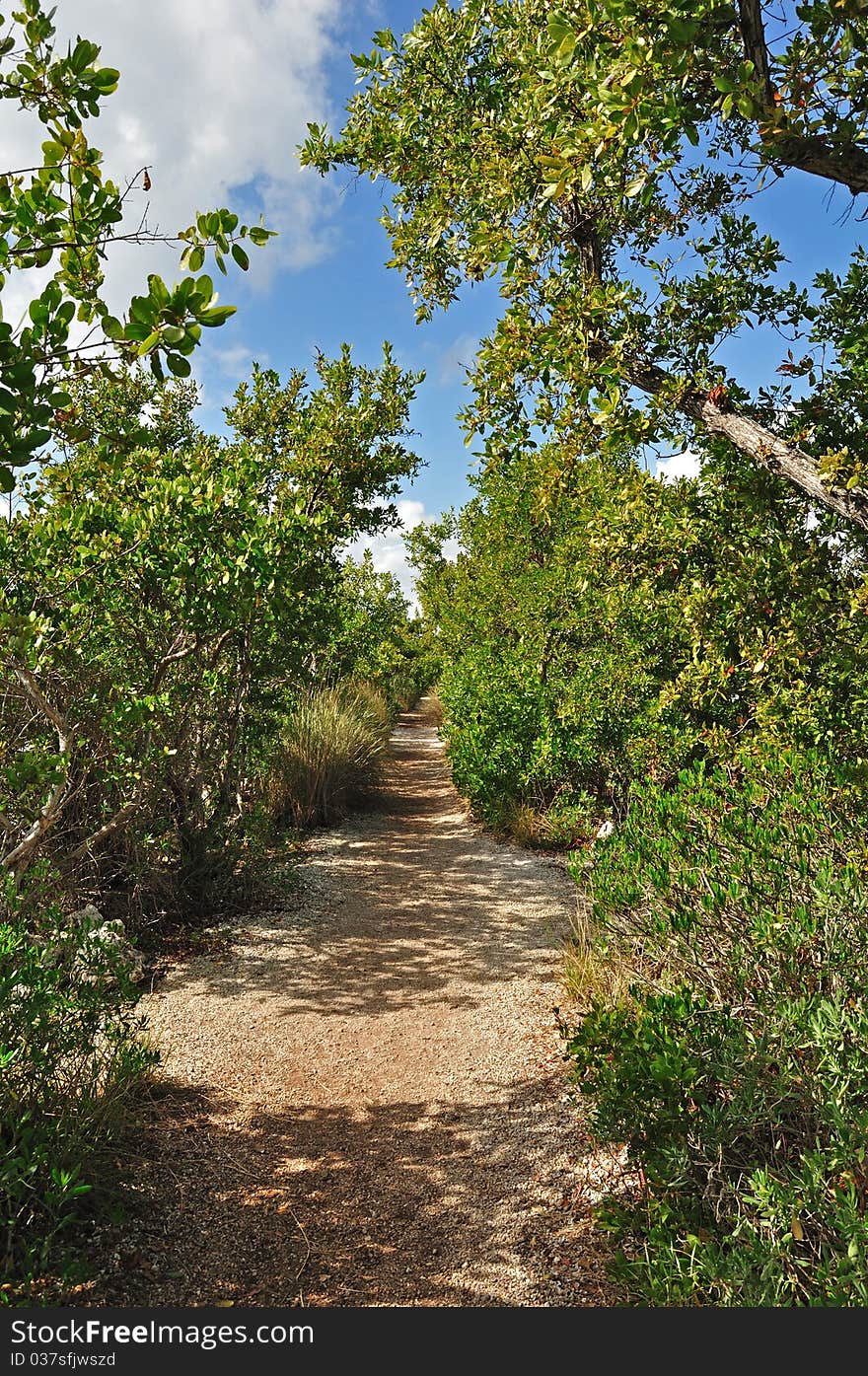 Path in a Park