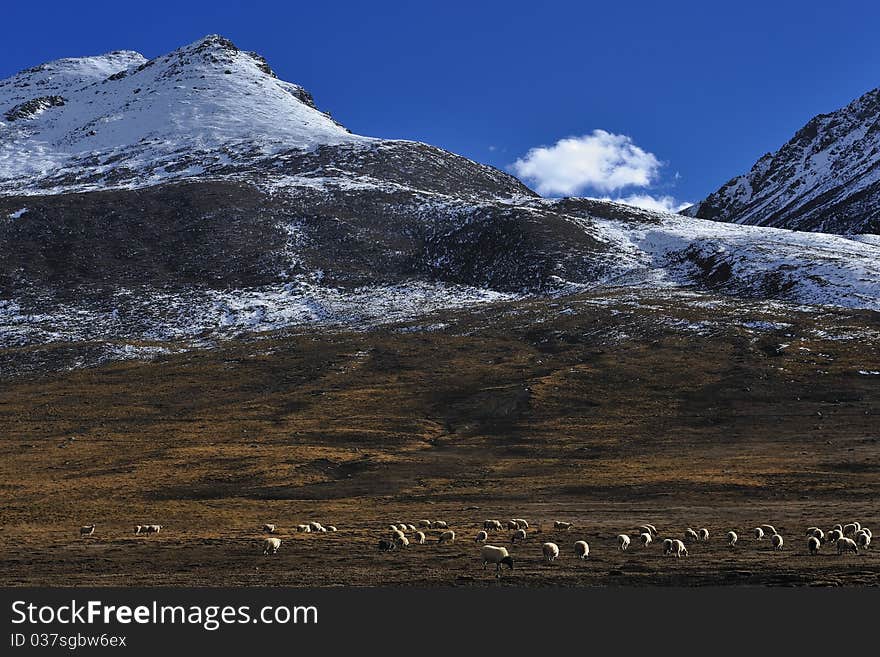 Plateau vast wilderness of charming scenery. Plateau vast wilderness of charming scenery