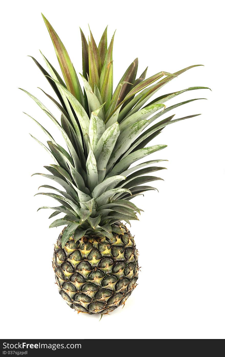 Pineapple Isolated on White background.