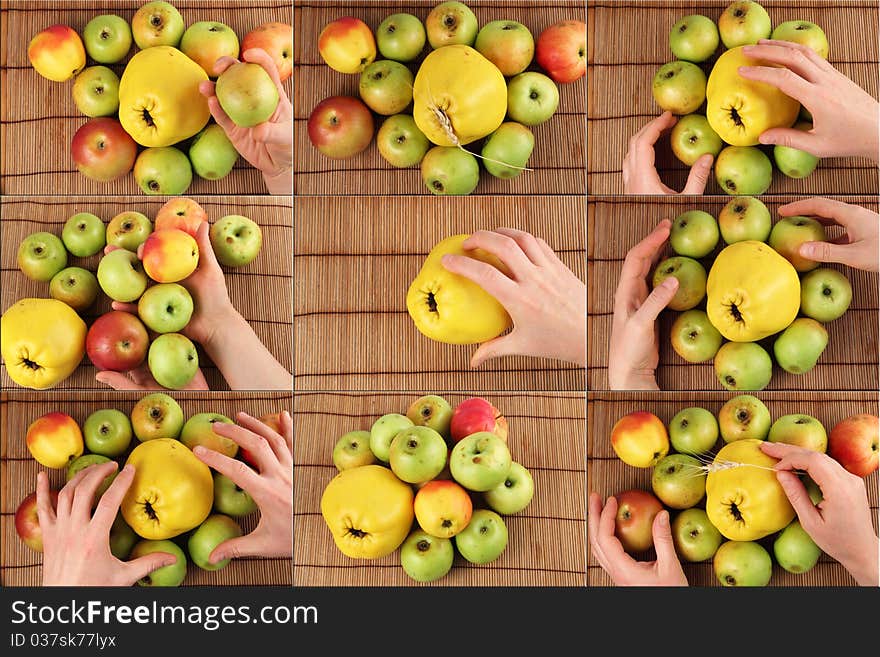 Panel hands with fruit