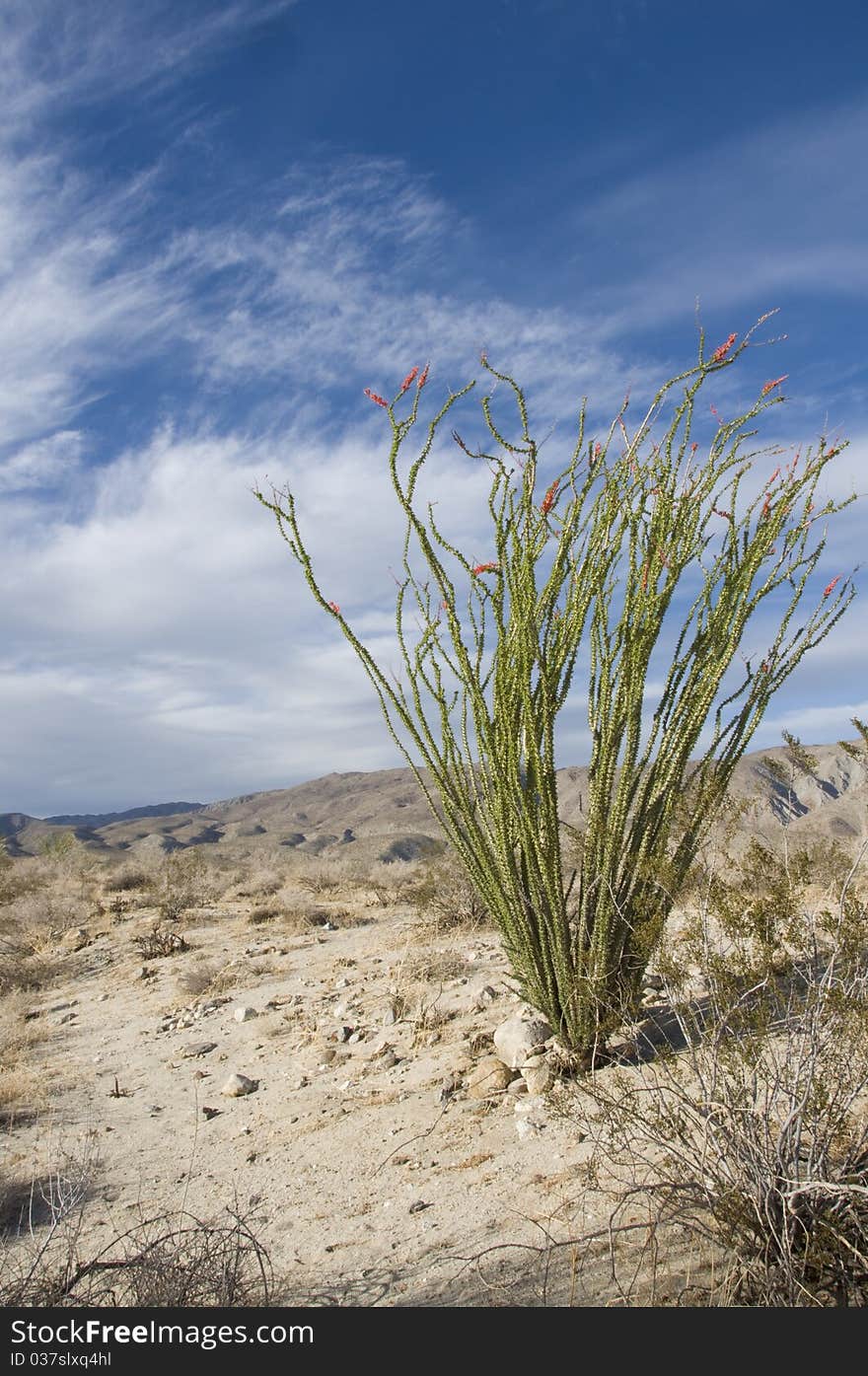 Desert landscape with blue sky