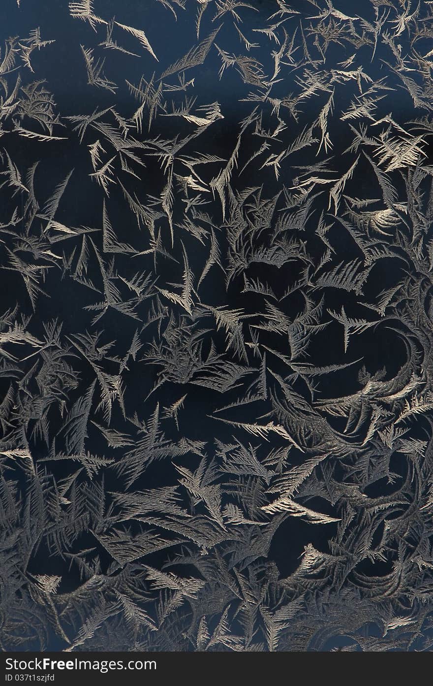 Hoarfrost on window