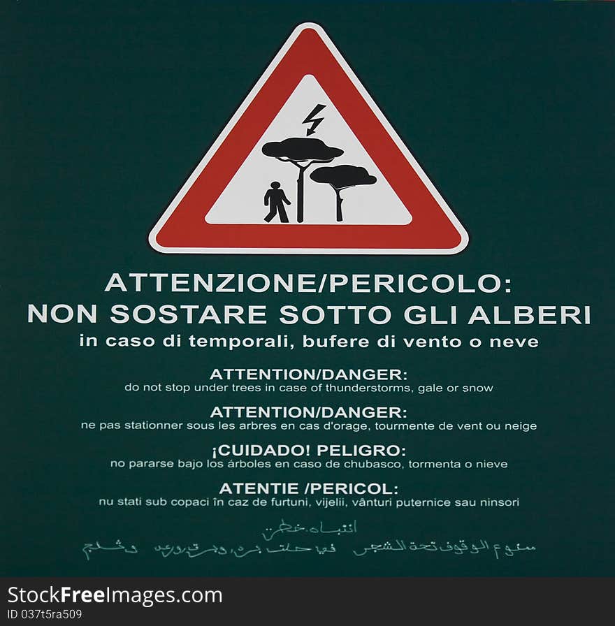 Do not stop under trees in case of thunderstorms, gale or snow. Do not stop under trees in case of thunderstorms, gale or snow