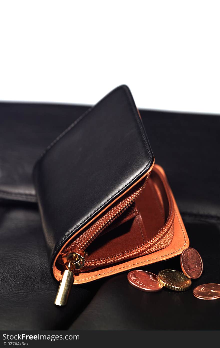 Purse for the coins and documents