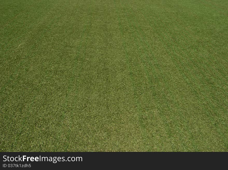 Playgrounds with grass. Filmed at an angle of 45 degrees, for any use