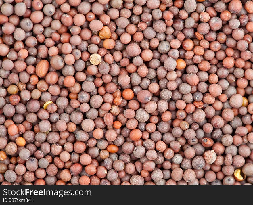 Seeds of black mustard