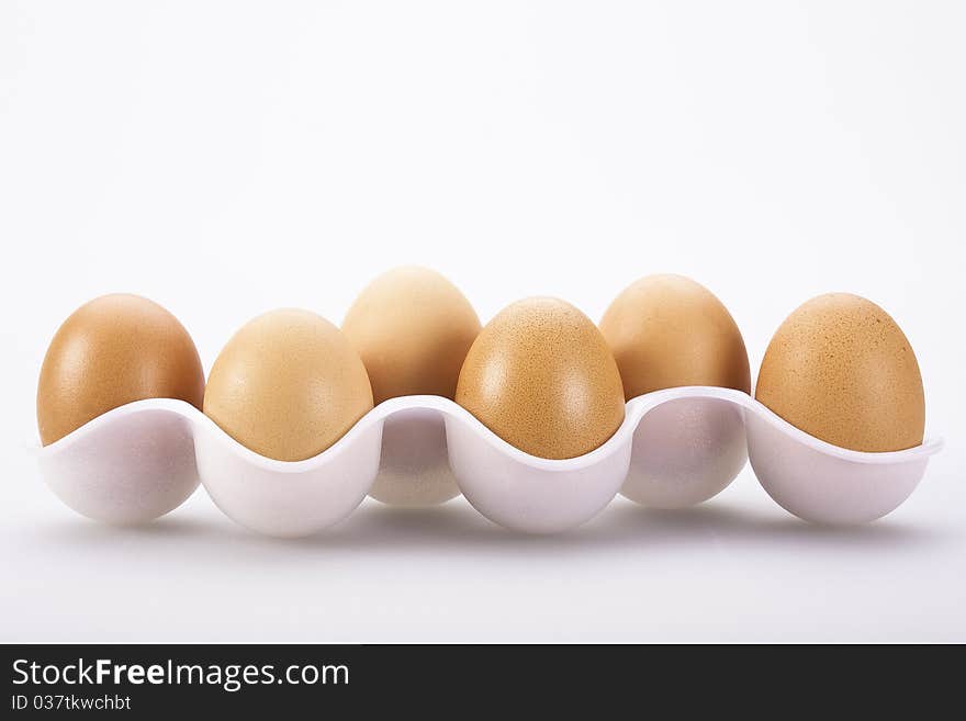 Fresh Eggs