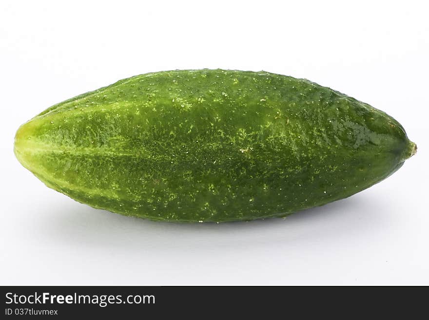 Young gherkin