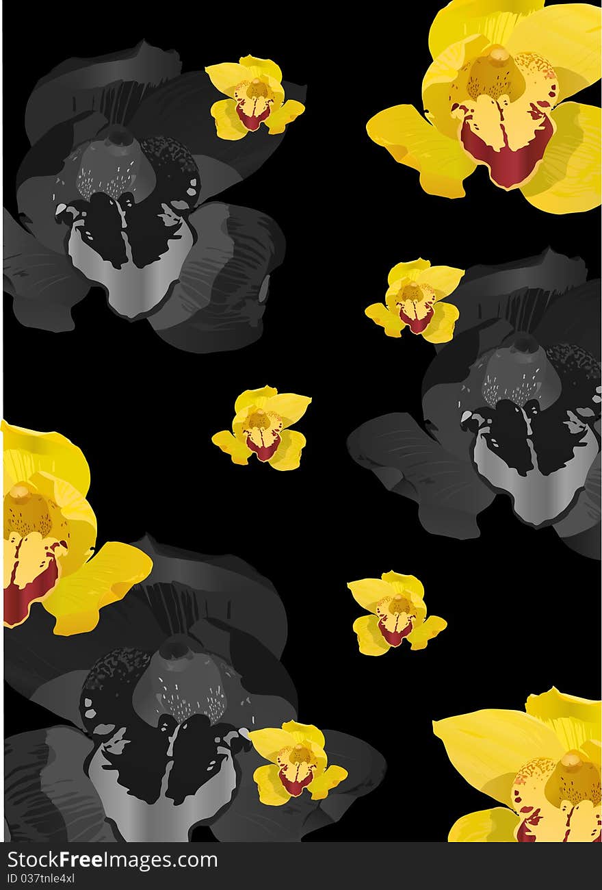 Illustration with yellow orchid flowers on black background. Illustration with yellow orchid flowers on black background