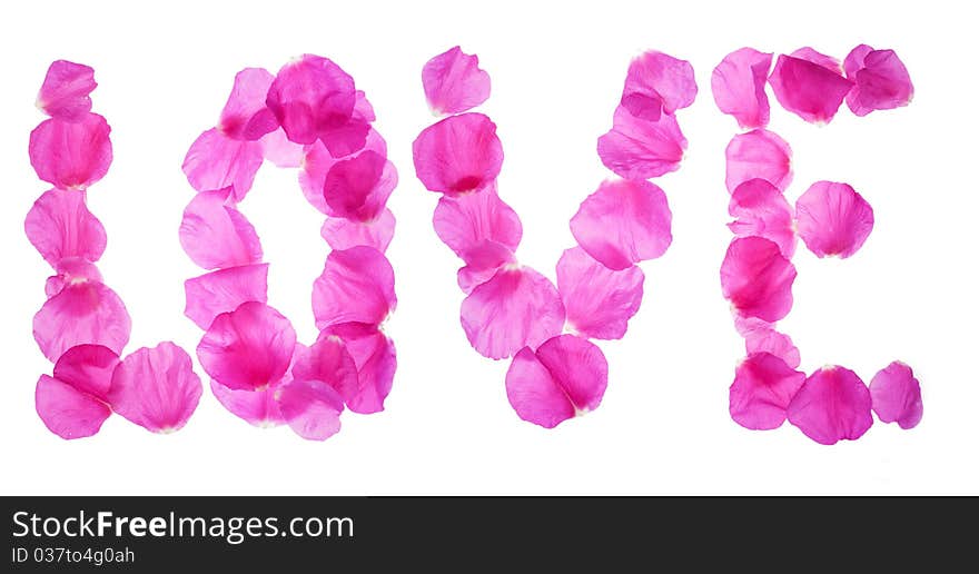 Word love formed from rose petals isolated on white background. Word love formed from rose petals isolated on white background