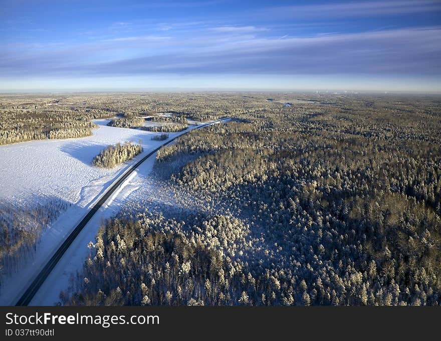 Highway in the winter forest