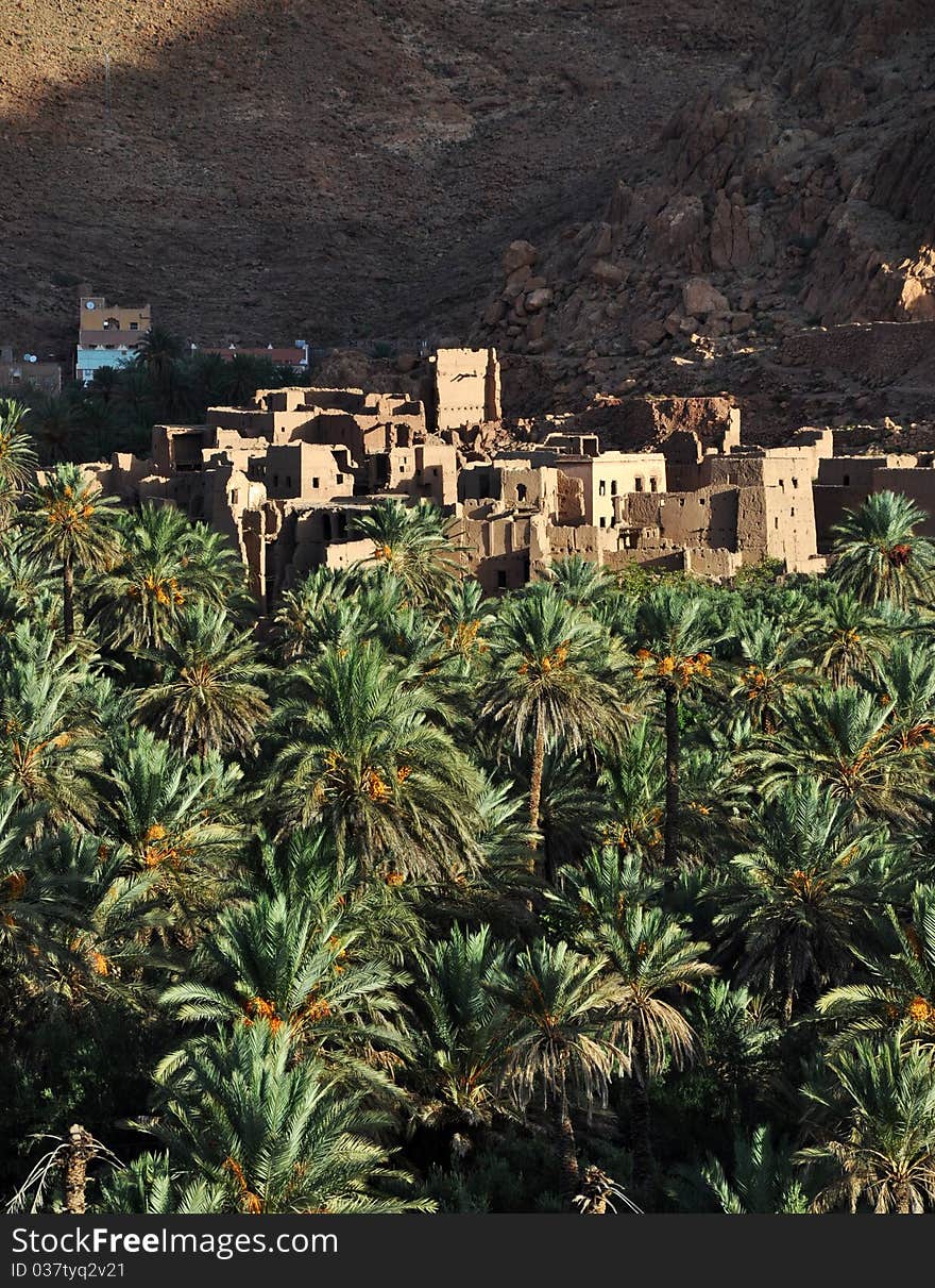 Todra Gorge