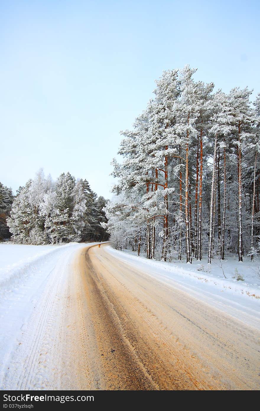 A winter road, just after the snowfall