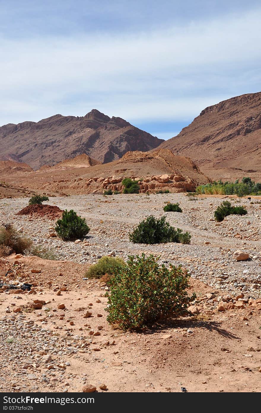 Todra Gorge