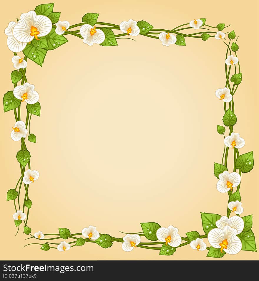 Background with beautiful orchids for a design