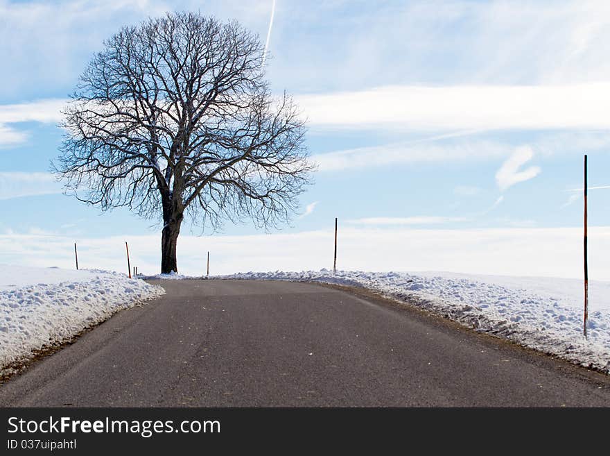 Country road in winter with tree, Bavaria, Germany