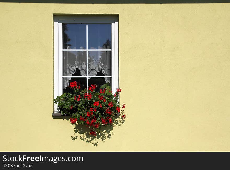 A detail of a window with flowers. A detail of a window with flowers