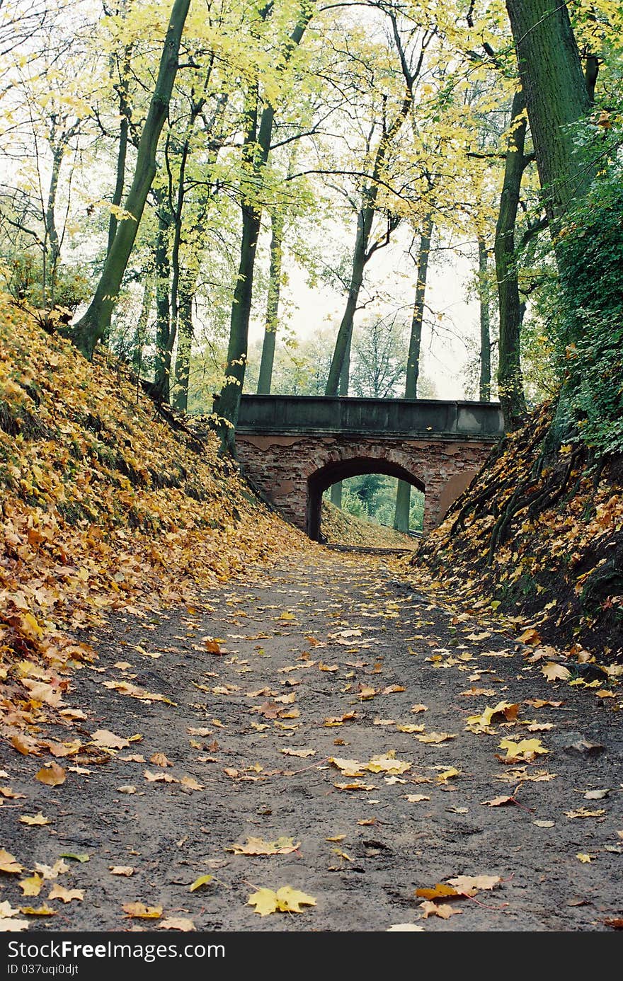 A road with arch over it in a park. A road with arch over it in a park.